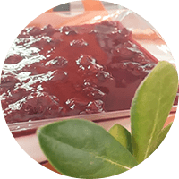 Mousse de Yoghurt con salsa Berries / Maracuyá